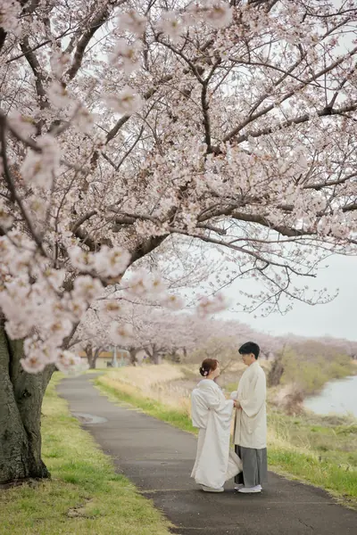 桜並木と白い和装