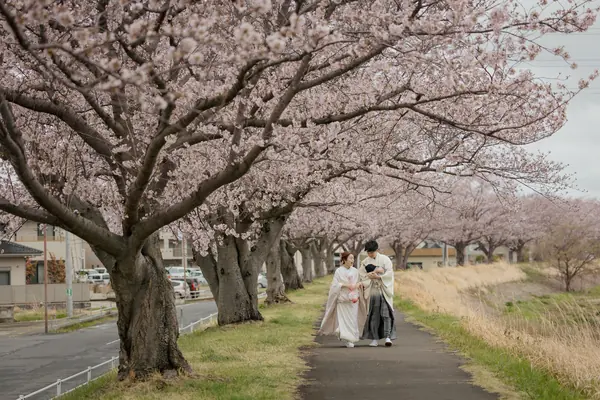 川辺の桜並木