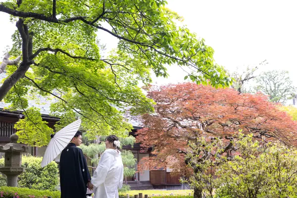 庭園と白い傘