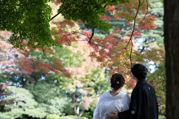 日本庭園の紅葉